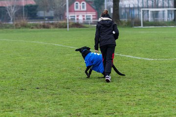 Bild 2 - C-Juniorinnen FSG BraWie 08 o.W. - SV Boostedt o.W. : Ergebnis: 9:0